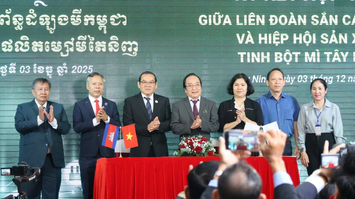 កិច្ចសន្យានាំចេញដំឡូងមី