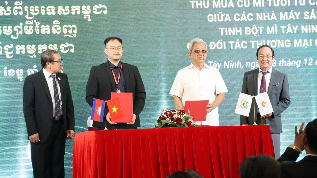 ដំឡូងមីកម្ពុជា