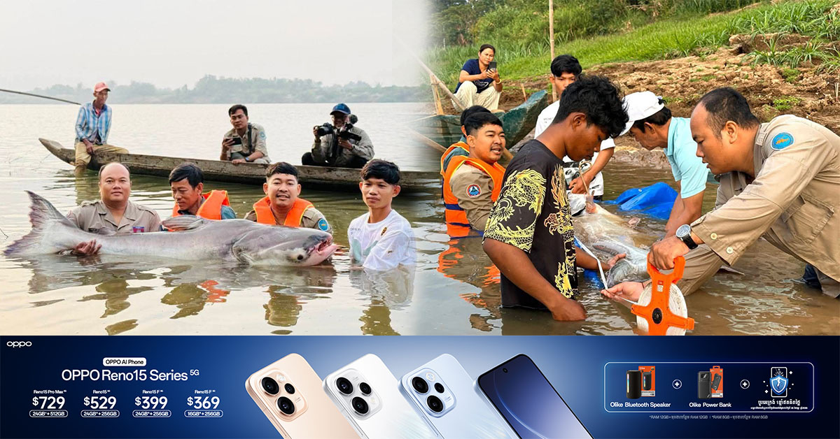 ខណ្ឌរដ្ឋបាលជលផលកំពង់ចាម បានលែងត្រីរាជទម្ងន់ ជាង ៧០គីឡូក្រាម ចូលទន្លេមេគង្គ ក្រោយទទួលពត៌មានពីប្រជាពលរដ្ឋនេសាទបាន