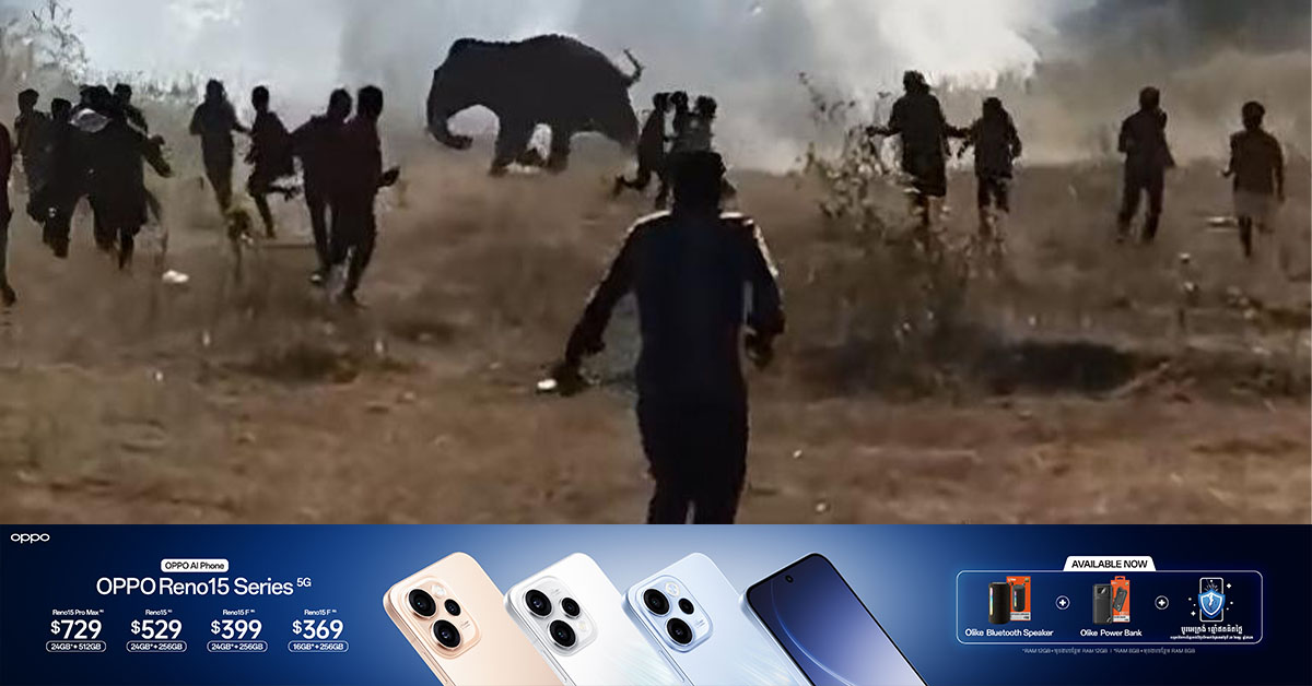 ដំរីព្រៃមួយក្បាលចូលមកអុកឡុកសហគមន៍ពលរដ្ឋឥណ្ឌា  ហើយបានបណ្តាលឱ្យមនុស្ស ២០បាត់បង់ជីវិត និង ១៥នាក់រងរបួស