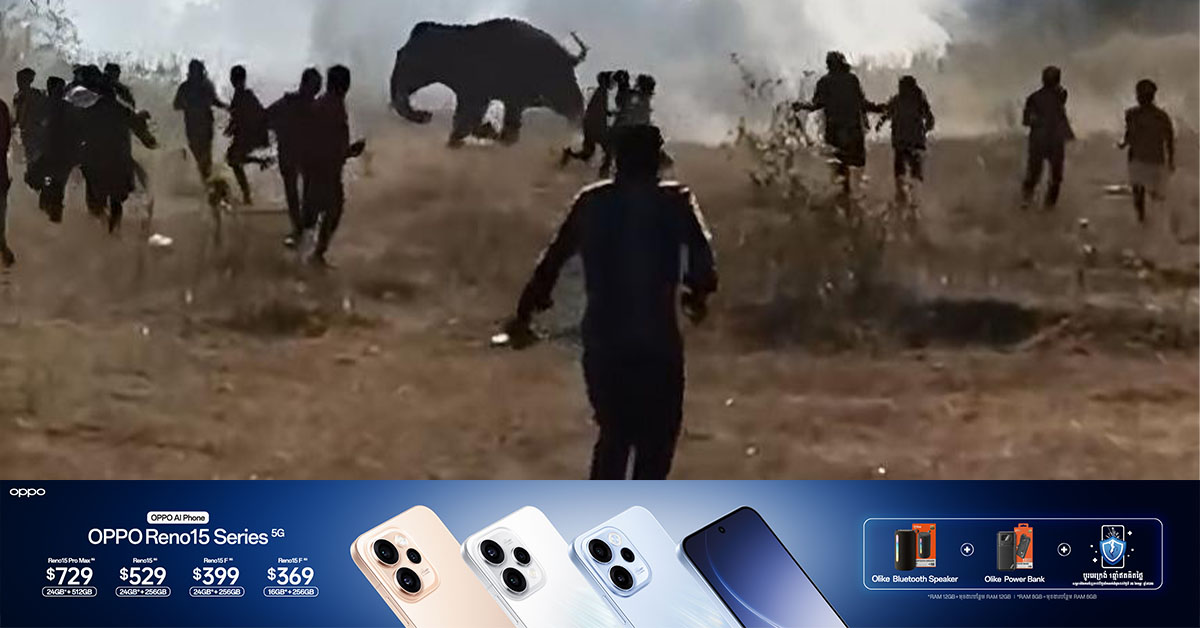 ដំរីព្រៃមួយក្បាលចូលមកអុកឡុកសហគមន៍ពលរដ្ឋឥណ្ឌា  ហើយបានបណ្តាលឱ្យមនុស្ស ២០បាត់បង់ជីវិត និង ១៥នាក់រងរបួស