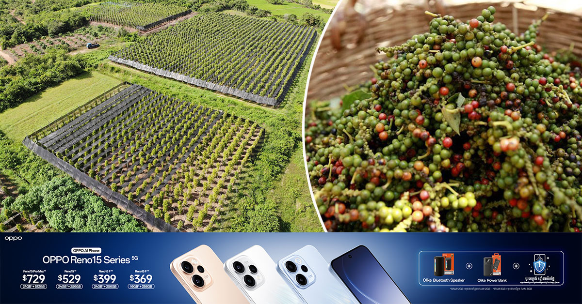 ក្នុងឆ្នាំ២០២៥ កម្ពុជានាំចេញម្រេចបានជាង ១០០តោន