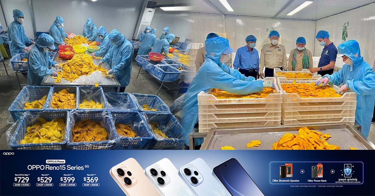 ទីផ្សារស្វាយកែវរមៀត សម្រាប់រោងចក្រកែច្នៃជាដំណាប់