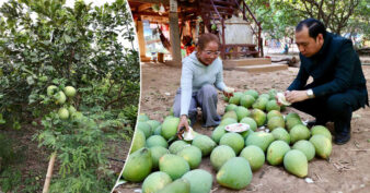 ឯកឧត្តម នេត្រ ភក្ត្រា បានអំពាវនាវដល់ប្រជាពលរដ្ឋនៅសង្កាត់កោះទ្រង់ ខេត្តក្រចេះ ឱ្យបន្តយកចិត្តទុកដាក់ថែរក្សាពូជក្រូចថ្លុង ដែលជាដំណាំសម្គាល់ភូមិសាស្ត្រ GI ដ៏មានតម្លៃរបស់តំបន់នេះ ឱ្យបានល្អហើយពង្រីកការដាំដុះបន្ថែមដើម្បីបង្កើនចំណូល និងលើកកម្ពស់ជីវភាពគ្រួសារ