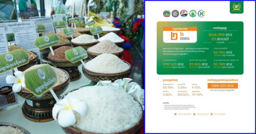 កម្ពុជានាំចេញអង្ករជាង ២៤ម៉ឺនតោន រយៈពេល២ ខែដើមឆ្នាំ ២០២៦ ទទួលបានជាង ១៤២លានដុល្លារ