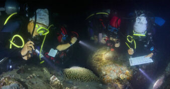 ក្រសួងចំនួន២ ប្រកាសពីការរកឃើញការបង្កកំណើតរបស់ផ្កាថ្ម ជាលើកទី៣ នៅប្រជុំកោះរ៉ុងនិងលើកដំបូងនៅប្រជុំកោះស្ដេច