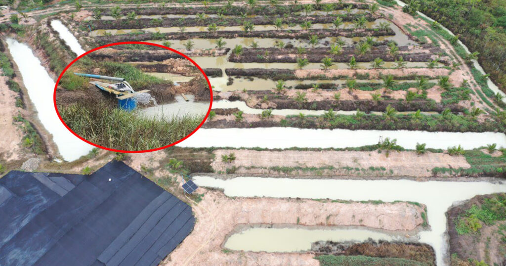 រោងចក្រកែច្នៃផ្លែស្វាយ មួយកន្លែងស្ថិតនៅខេត្តកំពង់ស្ពឺ បានបង្ហូរសំណល់រាវមិនសំអាតបង្កផលប៉ះពាល់បរិស្ថាន