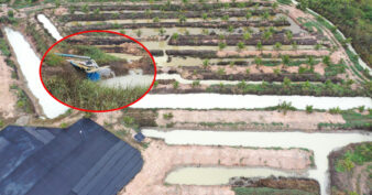 រោងចក្រកែច្នៃផ្លែស្វាយ មួយកន្លែងស្ថិតនៅខេត្តកំពង់ស្ពឺ បានបង្ហូរសំណល់រាវមិនសំអាតបង្កផលប៉ះពាល់បរិស្ថាន