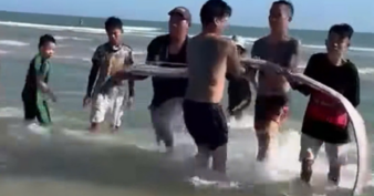 ត្រី Oarfish ប្រវែង ៤ម៉ែត្រ ទម្ងន់ ២០គីឡូក្រាម​ មួយក្បាលផុសអណ្តែតនៅឆ្នេរសមុទ្រ នាភាគខាងត្បូងប្រទេសវៀតណាម