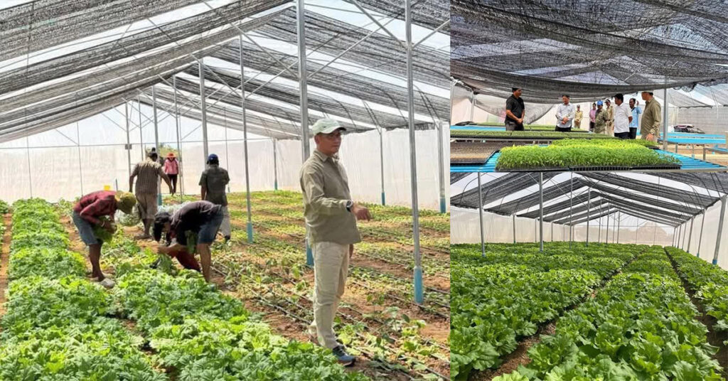 អាជ្ញាធរខេត្តកំពង់ឆ្នាំងអំពាវនាវឱ្យប្រជាកសិករយកចិត្តទុកដាក់លើការដាំបន្លែគ្មានជាតិគីមី