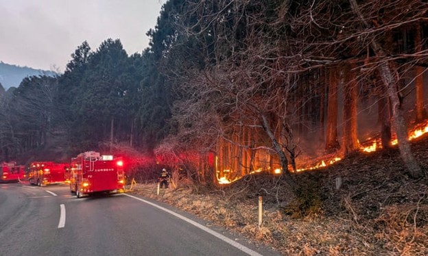 ជប៉ុនជម្លៀសពលរដ្ឋជាង ១,០០០នាក់ជាបន្ទាន់ ដោយសារបញ្ហាភ្លើងឆេះព្រៃ