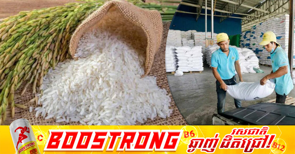 ឆ្នាំ២០២៦ ជាពេលវេលាដែលកម្ពុជាអាចនឹងសម្រេចបានតាមផែនការនាំចេញអង្ករឲ្យបាន ១លានតោន