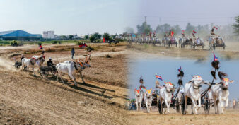 ព្រឹត្តិការណ៍ប្រណាំងរទេះសាឡីគោលឿននៅខេត្តកំពង់ស្ពឺឆ្នាំនេះ គគ្រឹកគ្រេងជាងឆ្នាំមុន