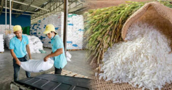 ឆ្នាំ២០២៦ ជាពេលវេលាដែលកម្ពុជាអាចនឹងសម្រេចបានតាមផែនការនាំចេញអង្ករឲ្យបាន ១លានតោន