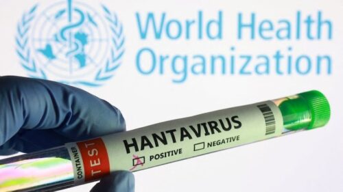 WHO៖ អ្នកតេស្តវិជ្ជមានមេរោគ Hantavirus កើនដល់ ៦នាក់ ខណៈមេរោគអាចបង្កឱ្យមានអត្រាមរណភាព ៣៨%